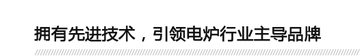 擁有先進技術，引領電爐行業主導品牌